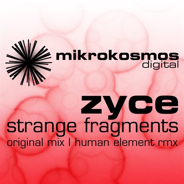 Cover of Strange Fragments