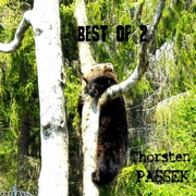 Best of 2 - Thorsten Passek
