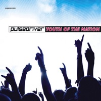 Youth of the Nation - Pulsedriver