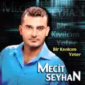 Bahçede Yeşil Çınar