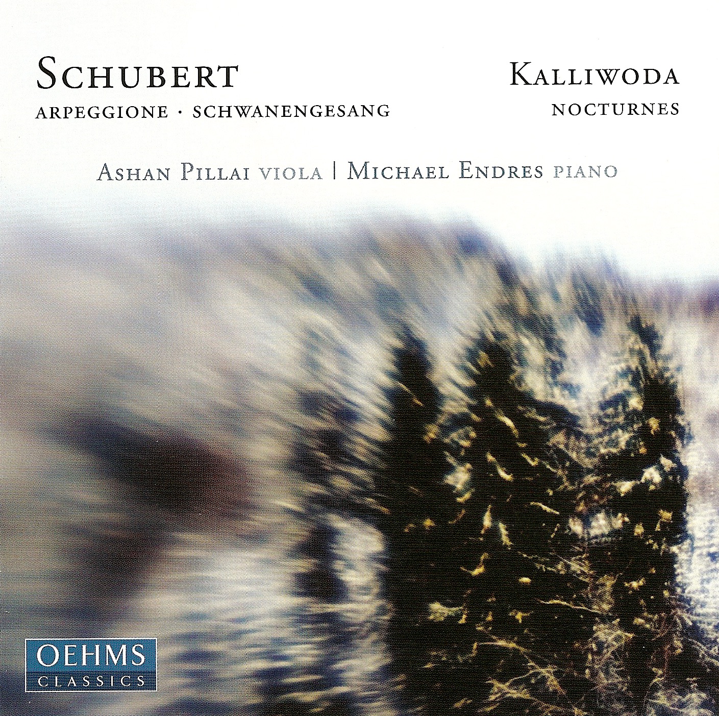 Schubert: Arpeggione Sonata - Schwanengesang (Arr. for Viola and Piano) - Kalliwoda: 6 Nocturnes by Michael Endres & Ashan Pillai album cover