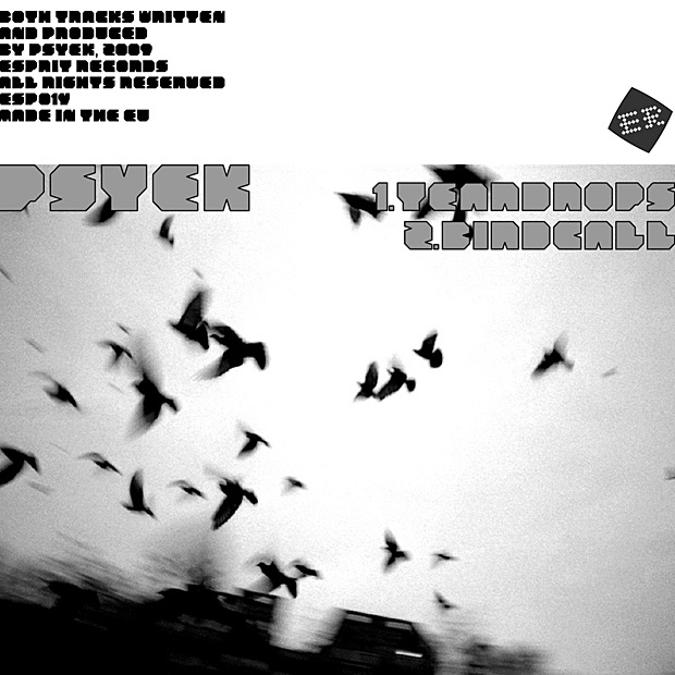 Обложка альбома «Teardrops / Birdcall - Single» — Psyek