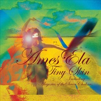 Tiny Skin - AmesEla & DJ MFR