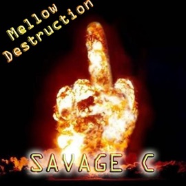 Mellow Destruction (Savage C Remix) Savage C