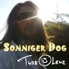 SONNIGER DOG