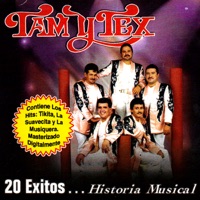 TAM Y TEX