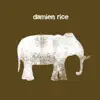 Damien Rice - Cannonball (Radio Remix)