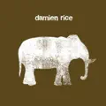 Damien Rice