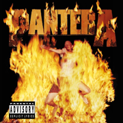 Reinventing the Steel - Pantera