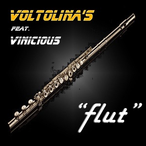 Flut (feat. Vinicious) - Single
