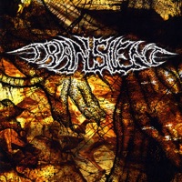 Recordings From the First Year - Transient