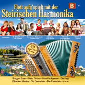 Cover art for Rosi Polka by Robert Neumair Aus Südtirol
