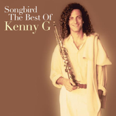 Theme from "Dying Young" - Kenny G