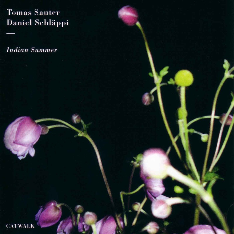 Обложка альбома «Indian Summer» — Tomas Sauter & Daniel Schläppi