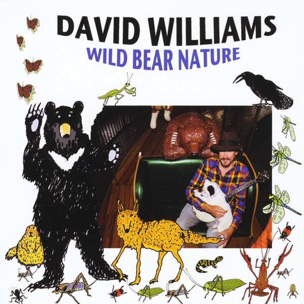 Wild Bear Nature