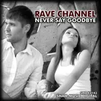 Never Say Goodbye (Radio Edit)