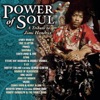 Power of Soul: A Tribute to Jimi Hendrix, 2010