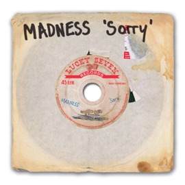 Sorry (Radio Edit) Madness