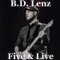 Another Brick in the Wall (Part 2) - B.D. Lenz lyrics