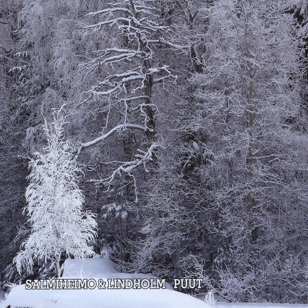 Salmiheimo & Lindholm – Puut