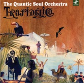 The Quantic Soul Orchestra - Los Olvidados - Cumbia