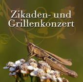 Zikaden und Grillenkonzert - Verschiedene Interpreten