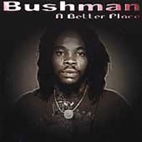 Love Will Turn Us Around (Classic Reggae Version) - Single - Bushman