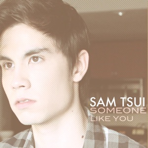Someone Like You - Single