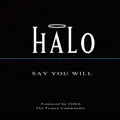 Say You Will (Pulsedriver Radio Edit)