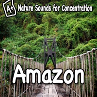 Nature Sounds for Concentration - Amazon - Single - Study Music
