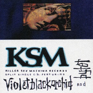 Violet Black Orchid vs. Bytet - EP