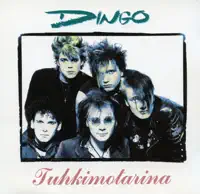 Nahkatakkinen Tyttö