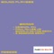 Baiana (Paul Miller vs. Ronald de Foe Remix) - Sound Players lyrics
