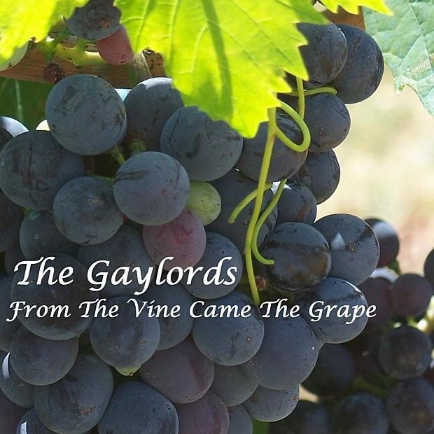 From the Vine Came the Grape