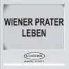 Einer Hat Immer Das Bummerl
