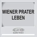 Einer hat immer das Bummerl
