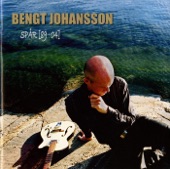 Bengt Johansson - Bilden av dig