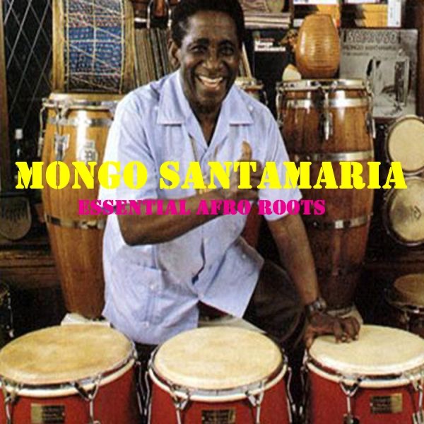 Essential Afro Roots