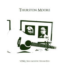 VDSQ: Solo Acoustic, Vol. 5 (12 String Meditations for Jack Rose)