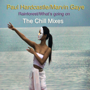 Rainforest / What's Going On (The Chill Mixes) - EP - Paul Hardcastle
