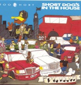 Too $hort - Short but Funky