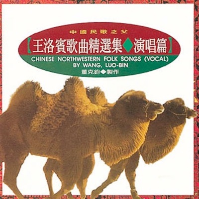 Luobin Wang - 青春舞曲(Youth Dance)