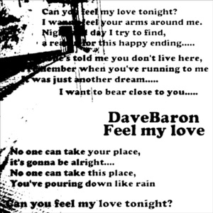 Feel My Love