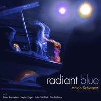 Anton Schwartz - Blues for Now