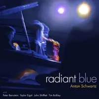 Blues for Now — Anton Schwartz