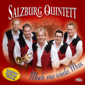 Cover art for Moch' Ma Wieda Musi by Salzburg Quintett
