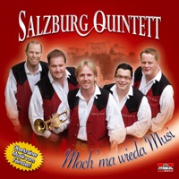Salzburg Quintett - Alpengold-Polka (Orig. Titel: "Schwarzensteiner-Polka")