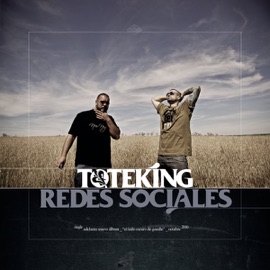 Redes Sociales Toteking