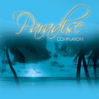 Screwdriver - What a Joy