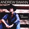 Pretty City - Andrew Swann lyrics
